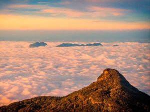 Read more about the article Adam’s Peak A Sacred Pilgrimage